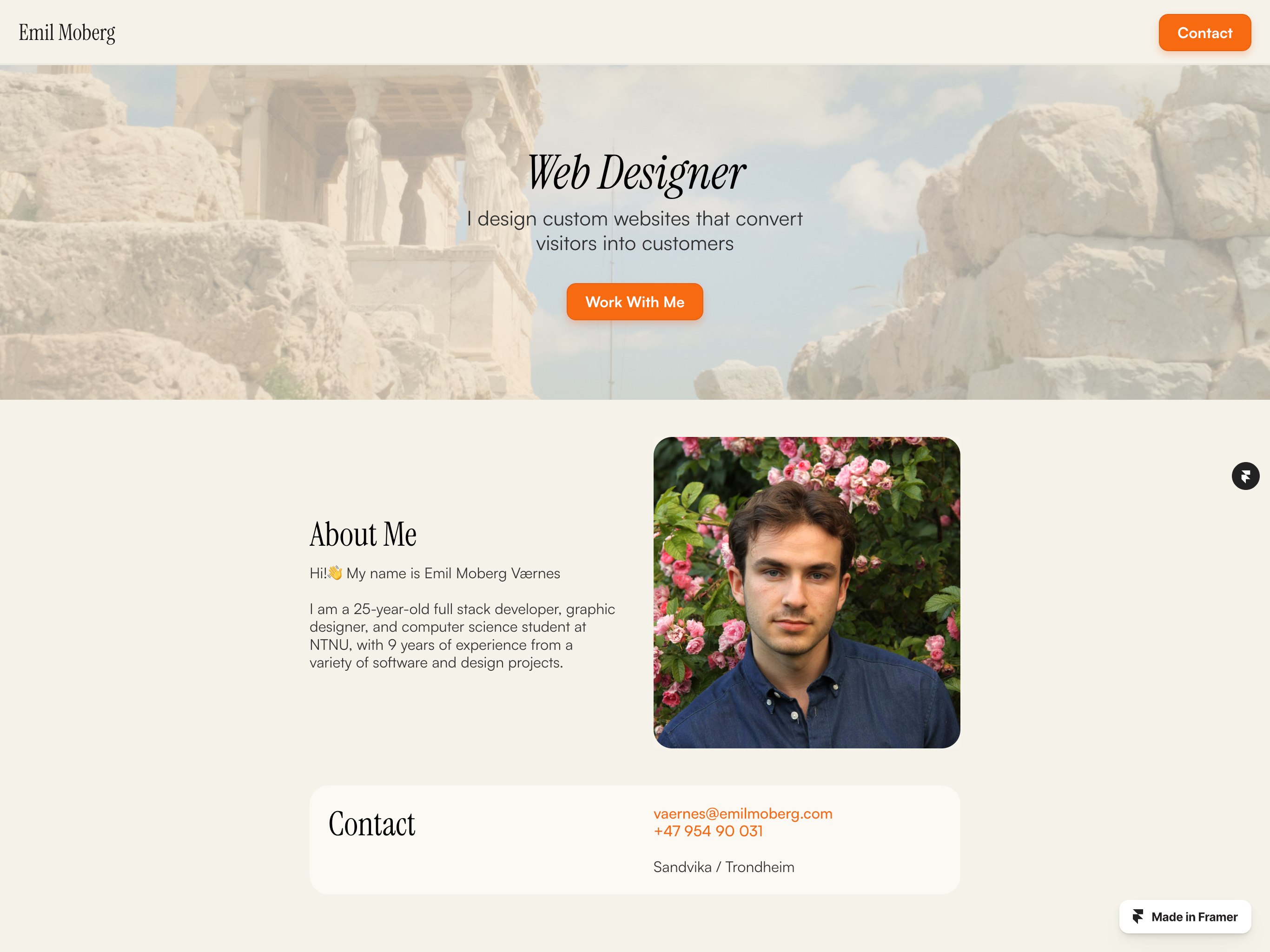 Website template preview
